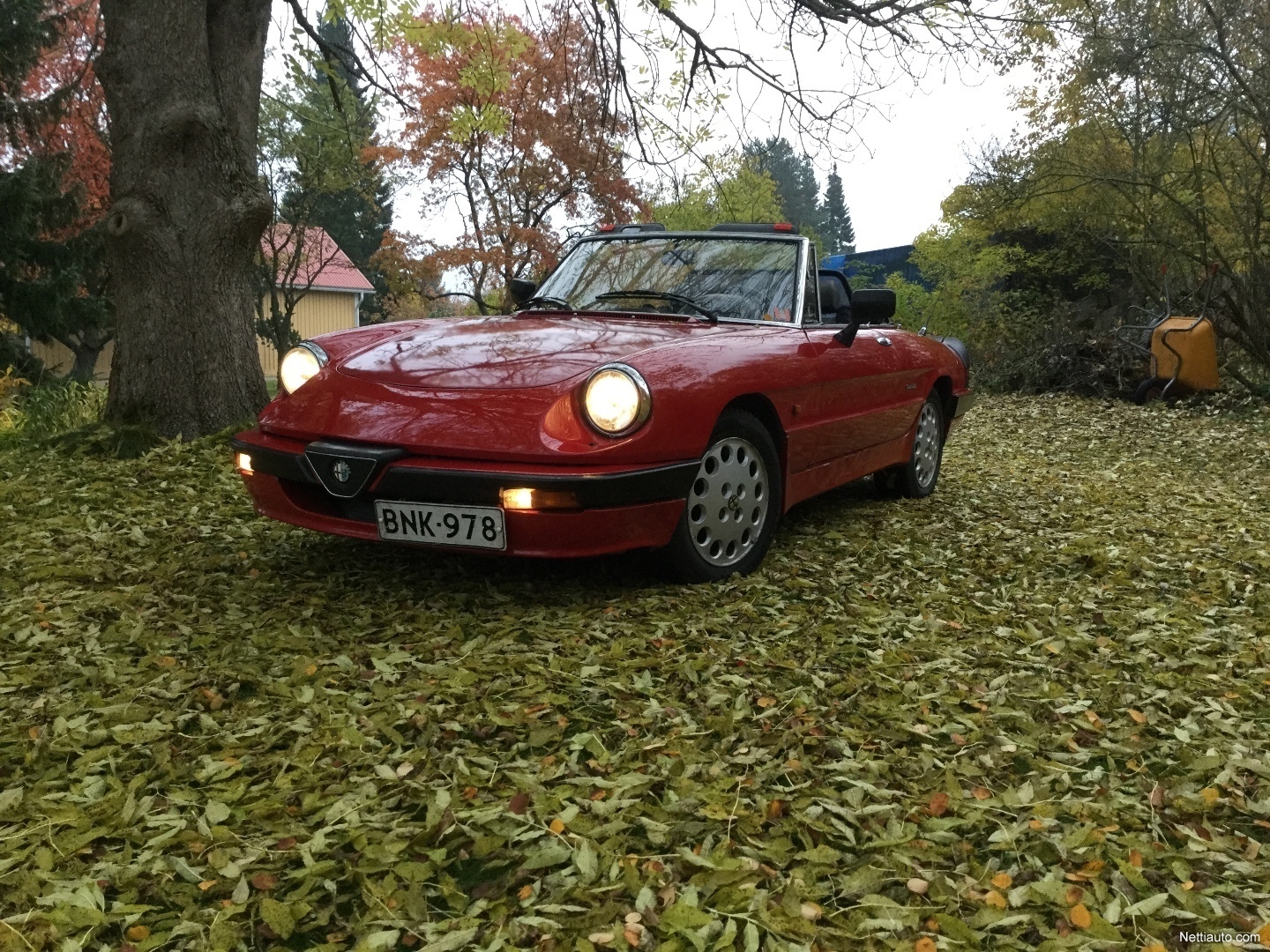 Alfa Romeo Spider >> Alfa Romeo Spider Quadrifoglio Verde Avoauto 1989 Alfa Romeo Spider >> Alfa Romeo Spider Quadrifoglio Verde Avoauto 1989