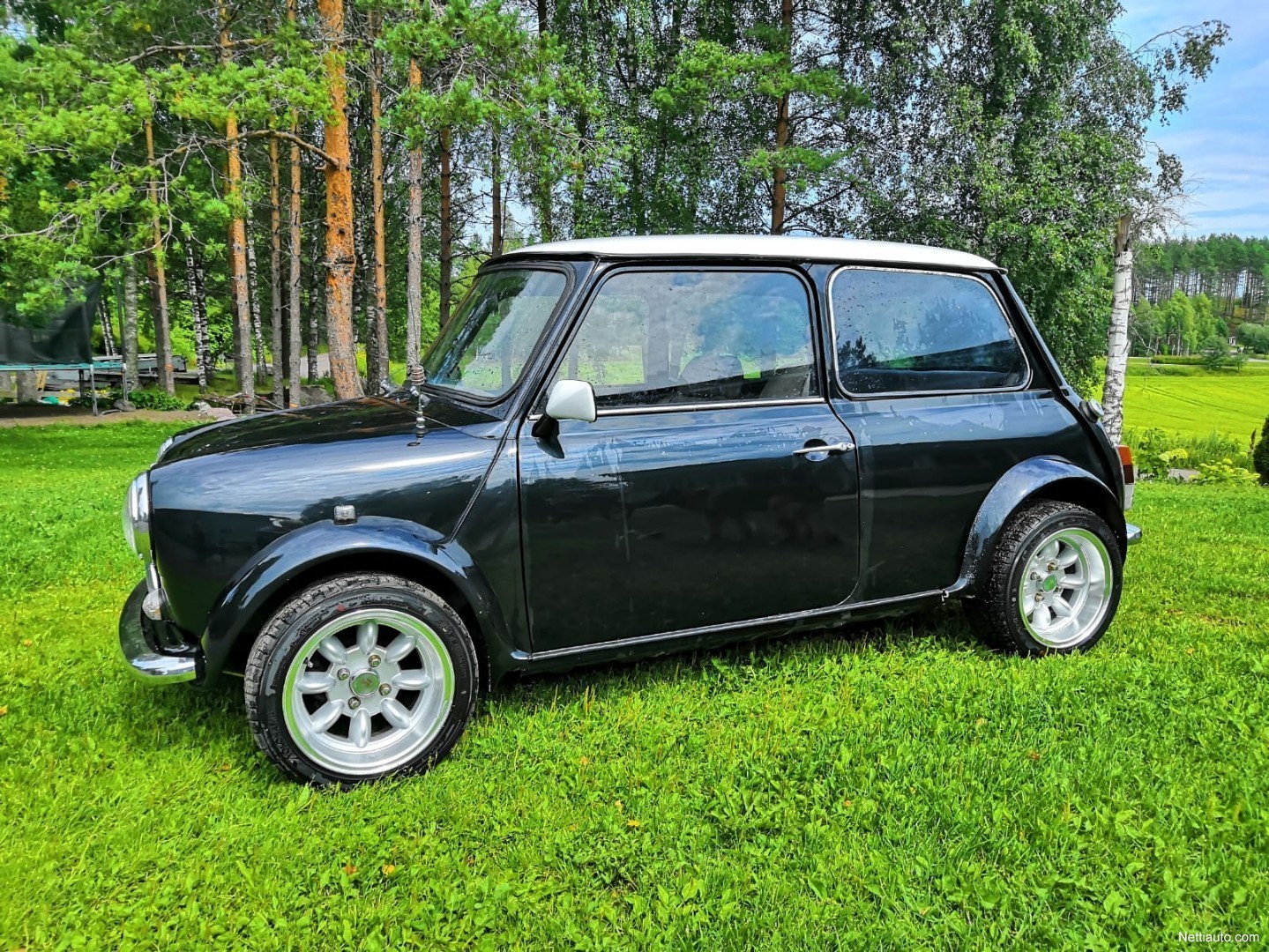 Rover mini mk