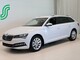 Skoda  Superb Combi 2.0 TDI 150 Style BusinessLine DSG Autom. - Nopeaan toimitukseen! / Webasto / Nahka-Alcantara / Moon White metalli