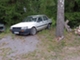 Toyota  Corolla