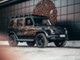 Mercedes-Benz  G 350 d Professional