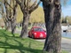 Volkswagen  New Beetle