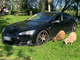 Tesla  Model S 85 Ilmainen supercharger lataus