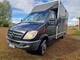 Mercedes-Benz  Sprinter 515 CDI Hevoskuljetus