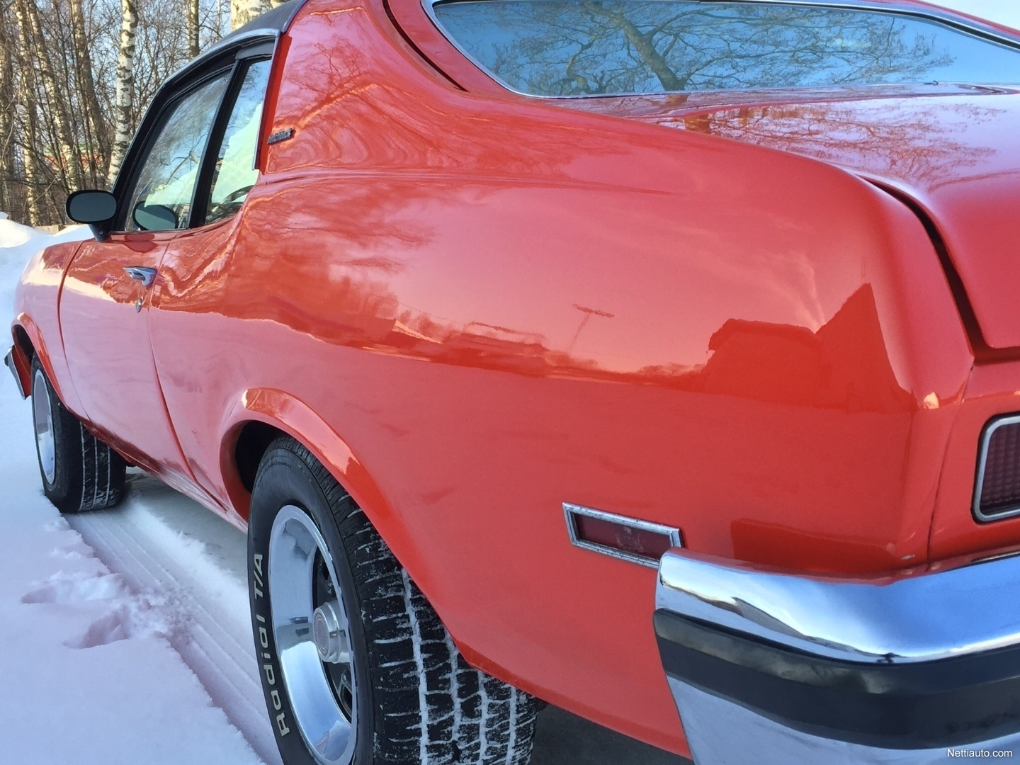 cougar liv fullt nettstedet pohjois pohjanmaa cougar liv fullt nettstedet pohjois pohjanmaa